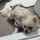 구)공주의료원 | 출산 전~ 39일차 기록