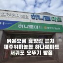 위미농협 하나로마트 | 붉은오름 휴양림 근처 하나로 마트 위미농협본점과 서귀포 오뚜기 빵집