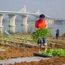 늘푸른농장 이미지