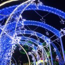 별빛마을 이미지