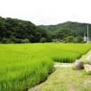 주록리계곡 루돌프 이미지