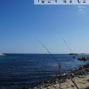 봉평해수욕장 이미지