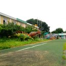 경산공룡박물관 | 경산 공룡박물관 방문후기 대구 근교 아이와 가볼만한 곳