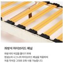 엠마의집 | 한샘 엠마 컴포트 천연면피가 죽 4인용 소파 2주 사용 후기