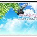 수지침(야간) 이미지
