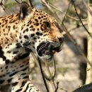 이지스한의원 이미지