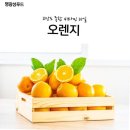 오렌지 이미지