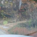 어진농장 이미지