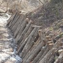 미래농장2 이미지