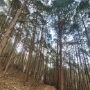 갈맷길(6코스) 이미지