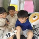 국가대표영웅태권도 이미지