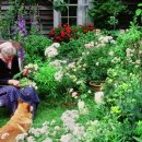 타샤의 정원 이미지