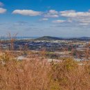 저지오름주차장 이미지