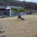 담담스테이 | 가족들이랑 경주독채펜션 담담스테이에서 지냈던 후기!