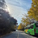 학생식당 | 서울대학교 산책 주말 일반인 학생식당 주차장 이용 후기
