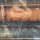 압구정퀸약국 이미지