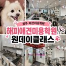 청주애견미용학원 해피애견미용학원 원데이클래스 후기 ✂️🐶