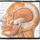 [저작근축소술] 안면윤곽이 무섭다?! 보톡스는 자주 맞아야하고.. 그렇다면 저작근축소술! 이미지