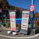 호반오토캠핑장 | 가을느낌냥냥 &lt;청풍호반오토캠핑장&gt; 후기 (25.11.8~10)