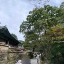 포토시그니처계룡산