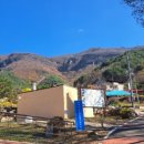 서창 소나무 이미지