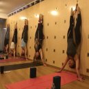 테라피 요가B 이미지