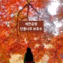 소중세천 이미지