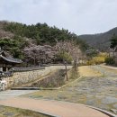 보건대부속유치원 이미지