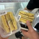 코랄스테이션대구 | 대구 24시간 무인 디저트 카페 코랄스테이션 내돈내산 솔직후기(샌드위치, 아이스크림 주문)