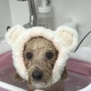 허그몽몽 이미지