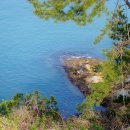 모정의 바다 이미지