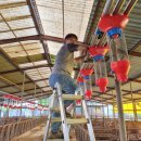 자동축산 이미지