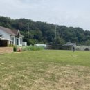 호반애견훈련소 이미지