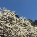 충혼탑 주차장 주변 이미지