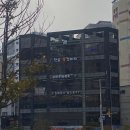 똥강아지 | 부산서면,전포 애견동반카페, 전포 똥강아지 후기,주차정보,수영장미니풀,루프탑