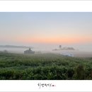 여명목장 이미지