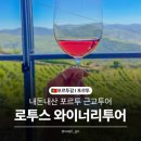 DA043 | [포르투/근교] 로투스 와이너리투어 내돈내산 후기 Lotus 로투스 도우루 벨리 투어