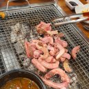 장어시대 이미지