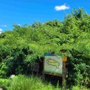 구억목장 이미지