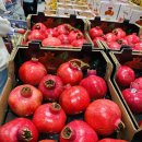 구로-고척-구로-550 | 구로 고척코스트코 주차 영업시간 쇼핑후기