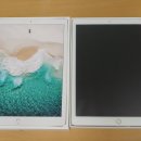 ipad Pro 12.9-inch,2세대, Wi-Fi, Cell, 골드색상 512G 이미지