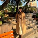 이다은 카카오 검색결과