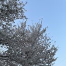 위례초등학교 | 2023 spring🌸