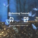 나비환상곡 이미지