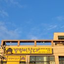 멍멍이 날다 이미지