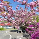 만수노인복지원 이미지