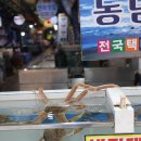 가자 이미지