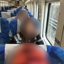 스테이 무코 | [2026년/묵호] 겨울 묵호 기차여행 1박2일 - 1일차