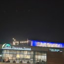 더숨 | 에버랜드 근처 숙소 | 아이와 함께 갈만한 더숨 포레스트 호텔 솔직 후기 (할인예약링크)