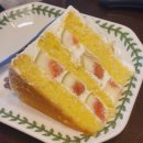 8월 셋째 주 일기